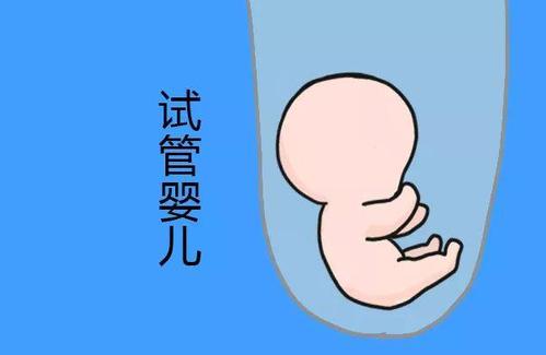 关于 助孕全国招募孕妈志愿者